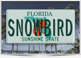 Snowbirds Car Shipping To And From Florida