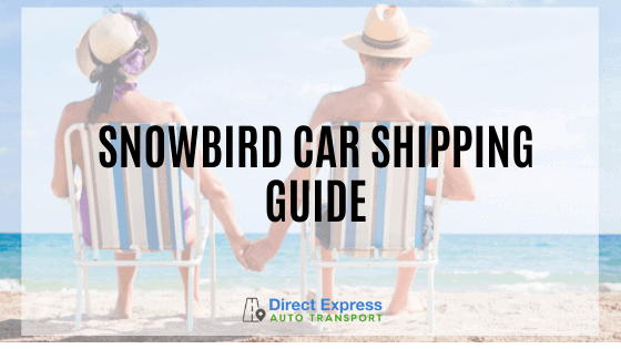 Snowbird car shipping guide - a couple sitting on a beach holding hands